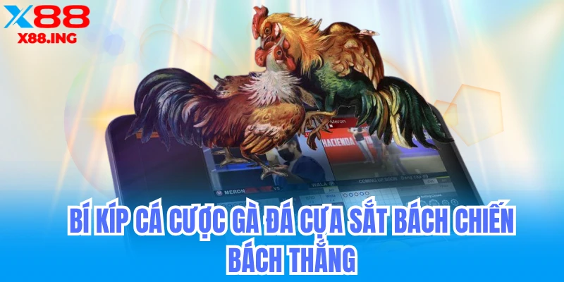 Bí kíp cá cược đá gà cựa sắt